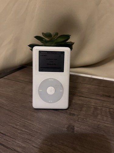Apple ipod photo - ipod,